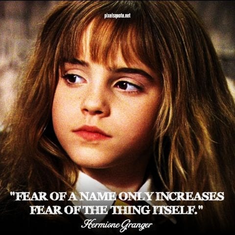 Harry Porter Quotes about Fear.