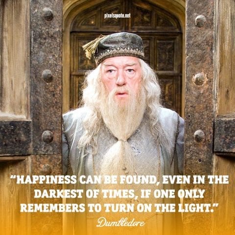 Hilarious Dumbledore quotes.