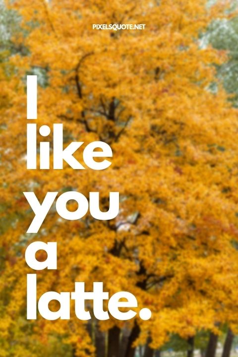 I like you a latte.