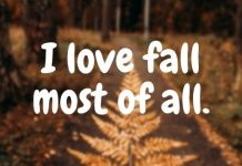 I love fall most of all.