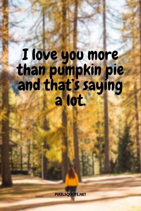 Funny Fall Caption Instagram interesting and meaningful