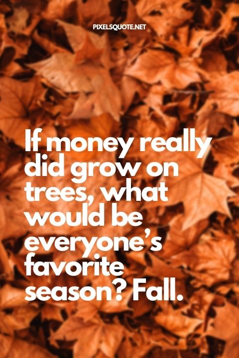 If money really did grow on trees, what would be everyone’s favorite season Fall.