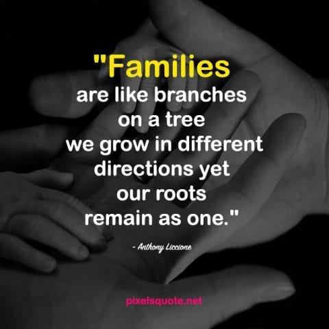 101 Best Family Quotes about Family Love with beautiful images