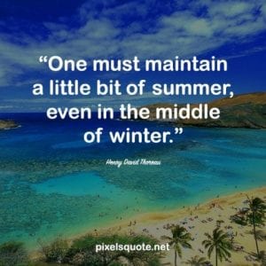 60 Summer Quotes help you enjoy this Summertime happily | PixelsQuote.Net