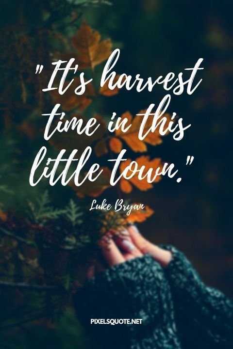 It's harvest time in this little town —Luke Bryan.