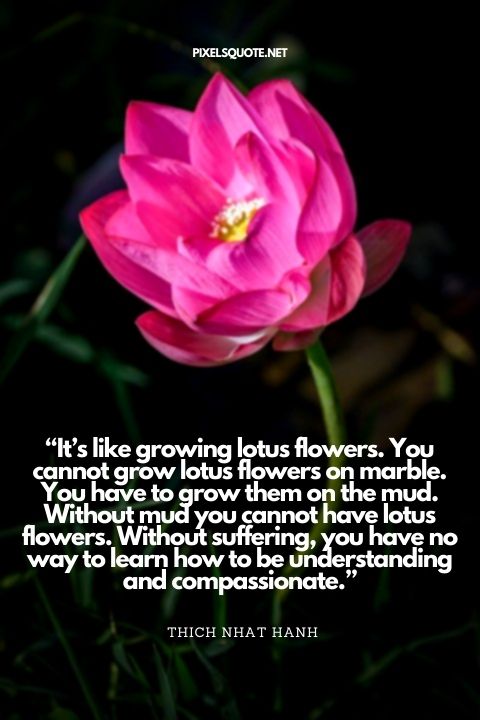 It’s like growing lotus flowers.