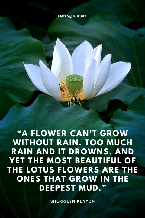 A flower can’t grow without rain.