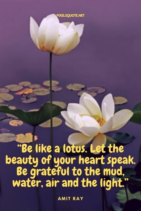 Be like a lotus