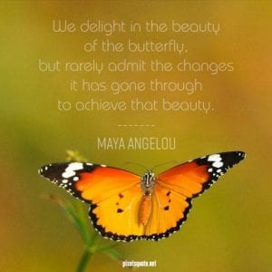 MAYA ANGELOU Quotes About Life To Inspire You Most | PixelsQuote.Net