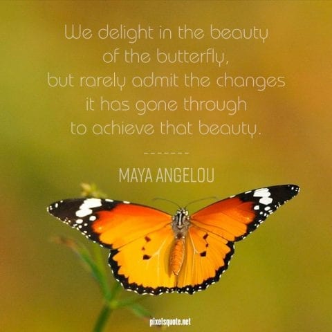 Maya Angelou quotes about beauty.
