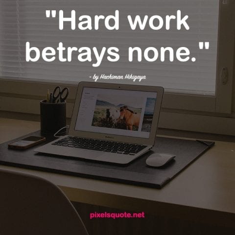 Meaningful Hard work quote.