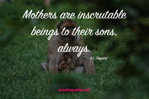 Mother to son quotes