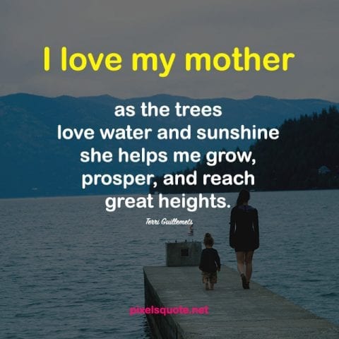 Mother quotes