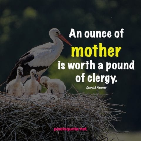 Mother quotes