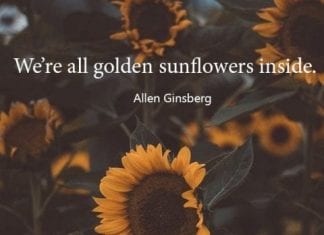 Nice Sunflower Quote.