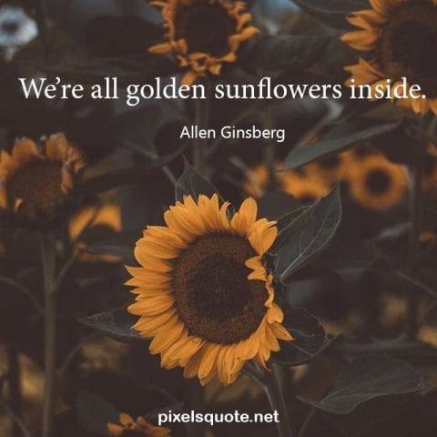 Nice Sunflower Quote.