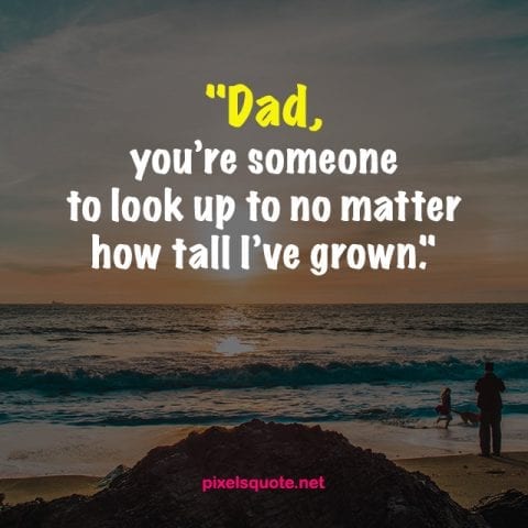 Nice Dad Quote