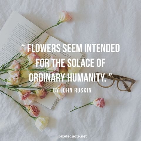 Nice Flowers quotes.