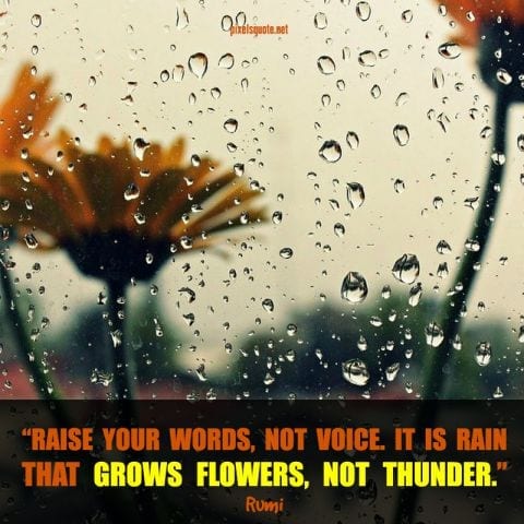 Nice Rain quotes.