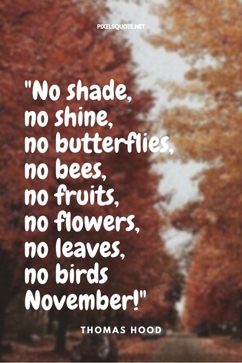 No shade, no shine, no butterflies, no bees, no fruits, no flowers, no leaves, no birds — November! — Thomas Hood.