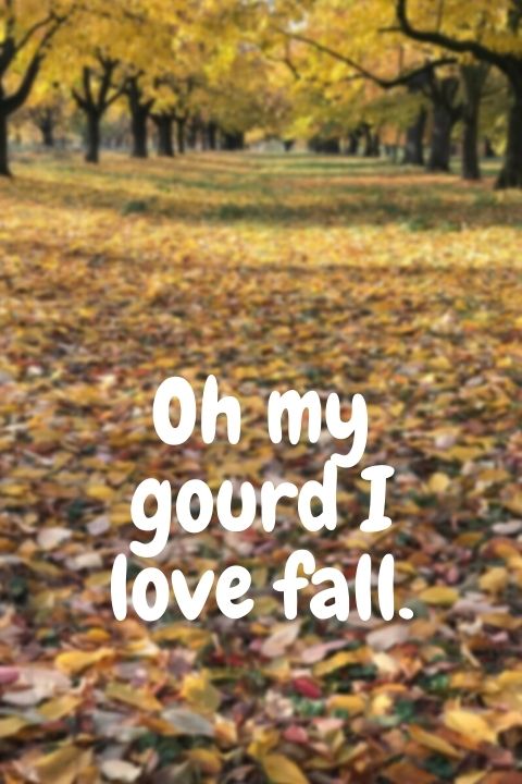 Funny Fall Caption Instagram interesting and meaningful