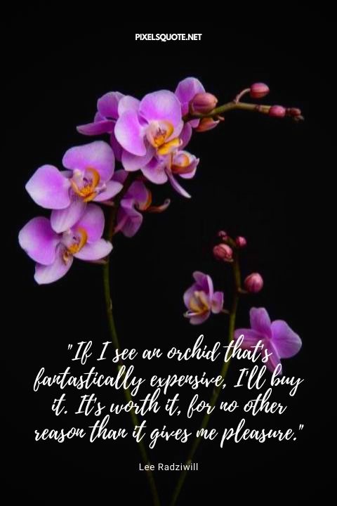 Orchid Quotes from Lee Radziwill.