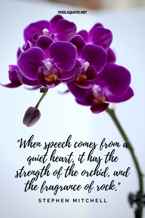 When speech comes from a quiet heart, it has the strength of the orchid, and the fragrance of rock.