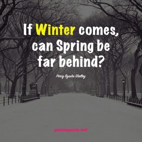 Quotes About Winter 4