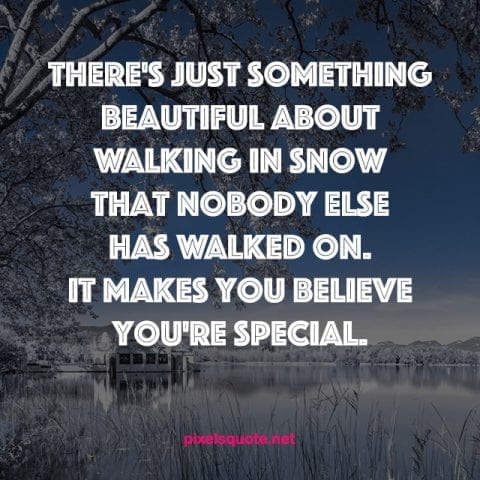 Quotes About Winter 5