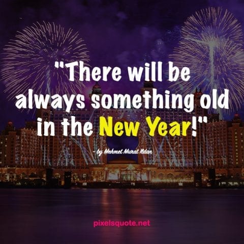 Quotes about New Year 8.