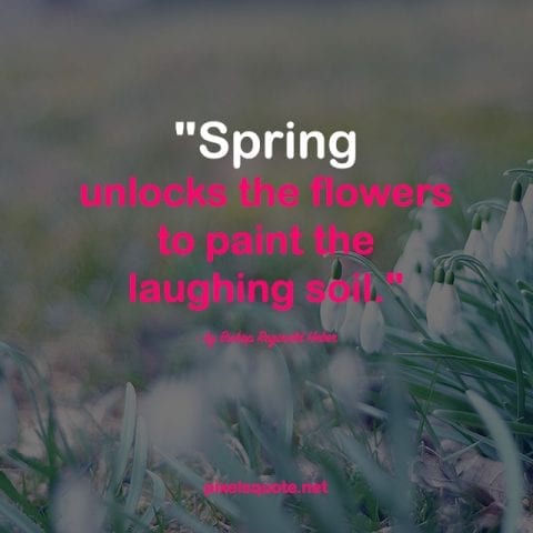 Quotes about Spring 3.