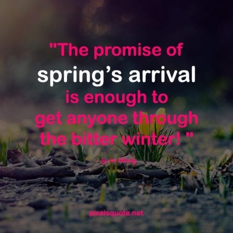 Quotes about Spring 5.