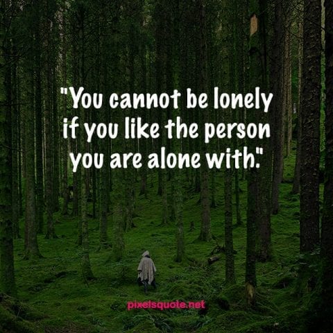Quotes about being Alone.
