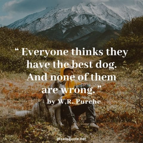 Quotes about dogs.