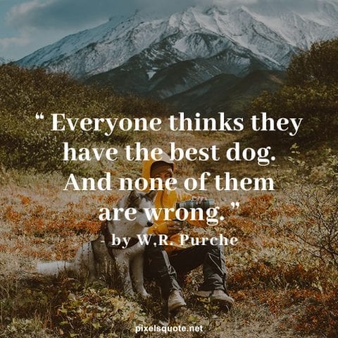 51 Adorable Dog Quotes For Puppy Lovers | PixelsQuote.Net