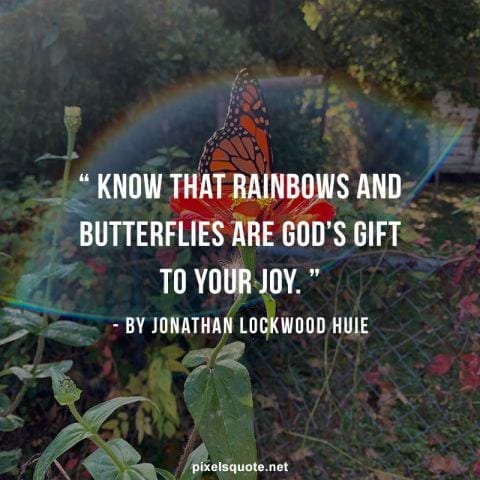 rainbows and butterflies