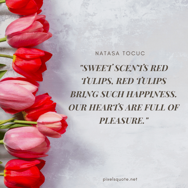 Red Tulips quote.