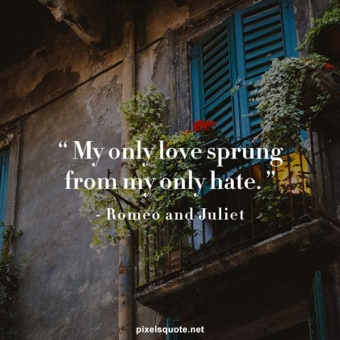 Romeo and Juliet hate quotes.