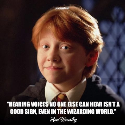 Ron Weasley Quotes in Harry Porter Film.