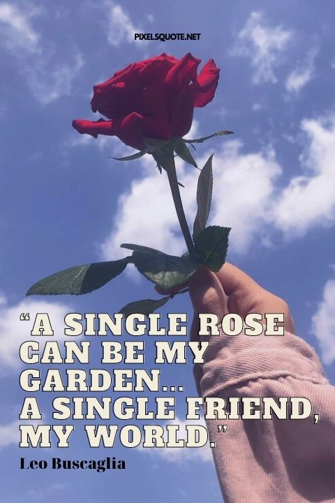 “A single rose can be my garden… a single friend, my world.” – Leo Buscaglia