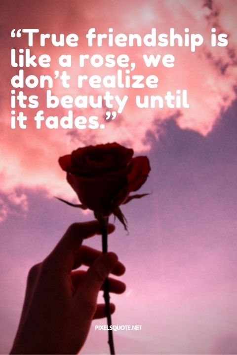 Encourage Rose Quotes.