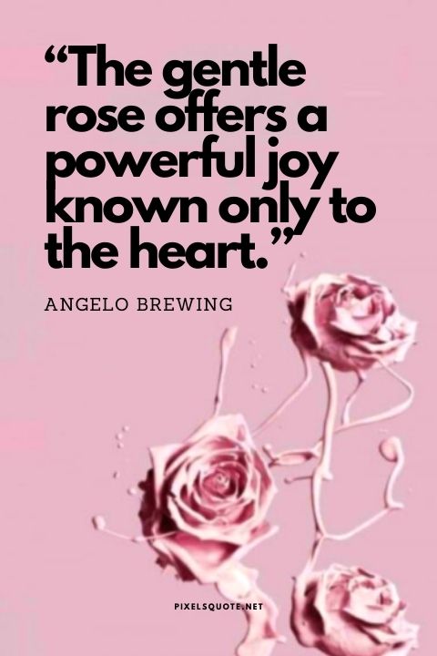 “The gentle rose offers a powerful joy known only to the heart.” – Andrew Pacholyk