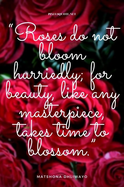 Roses Quotes about Love.