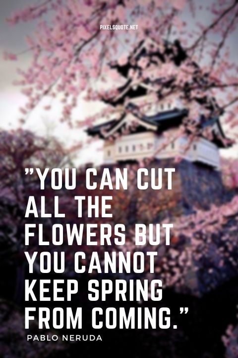 Season quotes about spring.