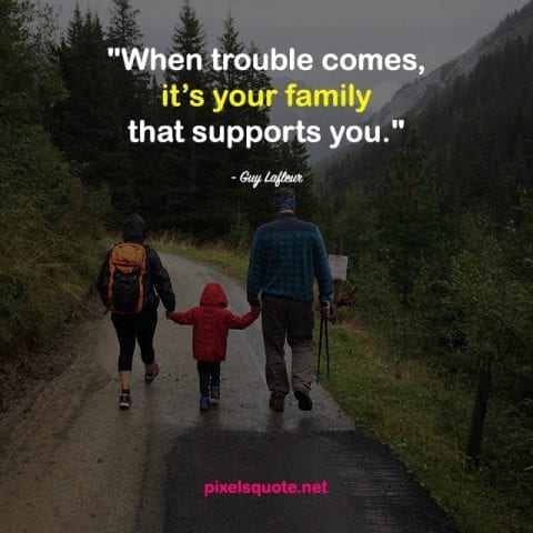 101 Best Family Quotes about Family Love with beautiful images