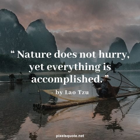 Short Nature quotes