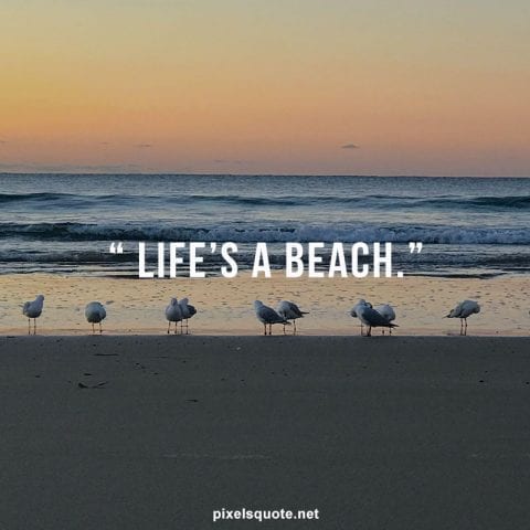 Life’s a beach quote.
