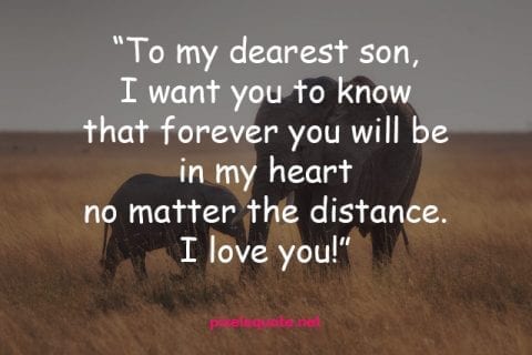 50 Dearest Son Quotes From Mom Pixelsquote Net