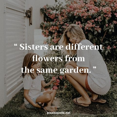 50 Meaningful Sister quotes 