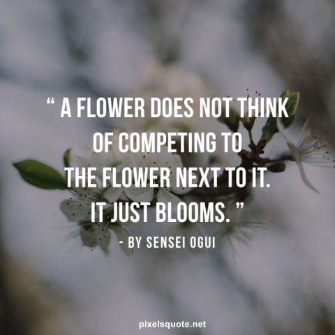 Spring Flower quote.